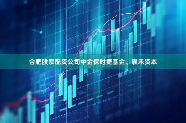 合肥股票配资公司中金保时捷基金、襄禾资本