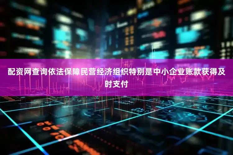 配资网查询依法保障民营经济组织特别是中小企业账款获得及时支付